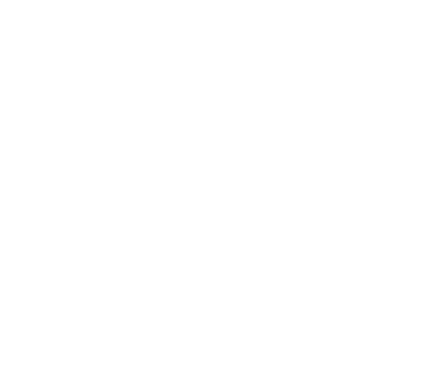 Soul on Fire